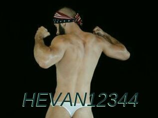 HEVAN12344