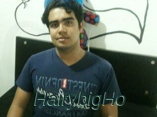 HairybigHo