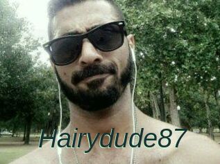 Hairydude87