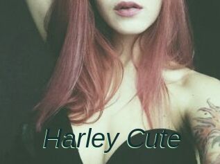Harley_Cute