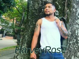 HarveyRose