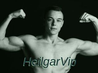 HeilgarVip