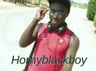 Hornyblackboy