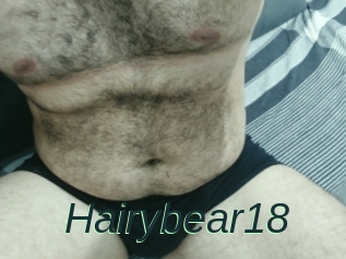 Hairybear18