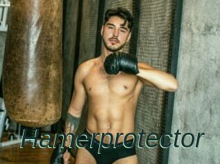 Hamerprotector