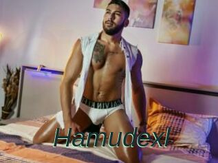 Hamudexl