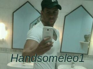 Handsomeleo1