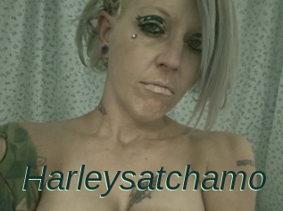 Harleysatchamo