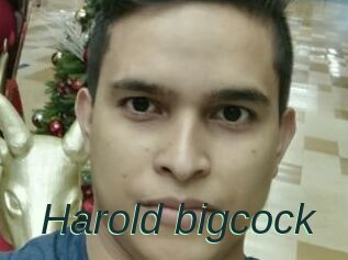 Harold_bigcock
