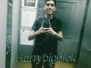 Harrybigdick