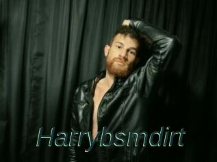 Harrybsmdirt