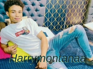 Harrymontanaa