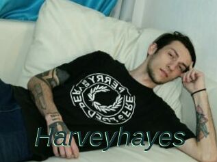 Harveyhayes
