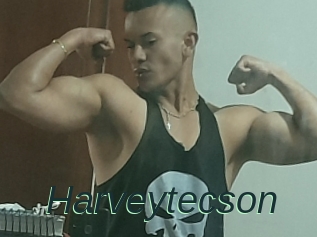 Harveytecson