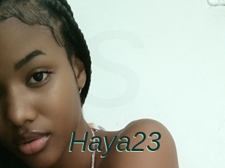 Haya23