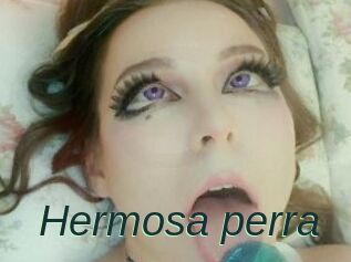 Hermosa_perra