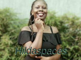 Hildaspaces