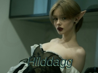 Hilddagg