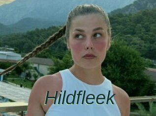 Hildfleek
