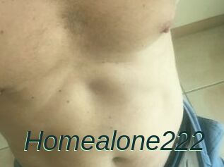 Homealone222