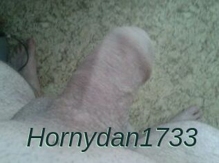 Hornydan1733
