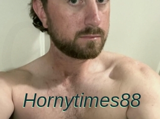 Hornytimes88