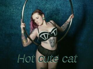 Hot_cute_cat