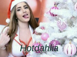 Hotdahlia