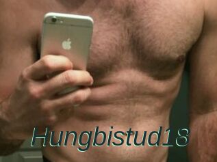 Hungbistud18