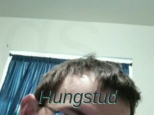 Hungstud