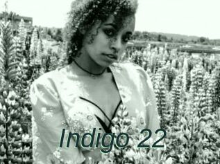 Indigo_22