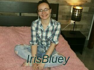 IrisBluey