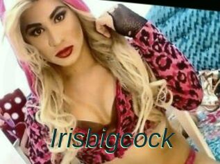 Irisbigcock
