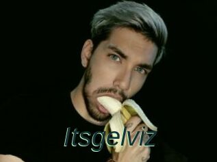 Itsgelviz