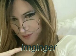 Imginger
