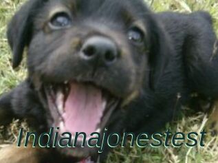 Indianajonestest
