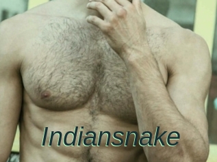 Indiansnake