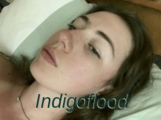 Indigoflood