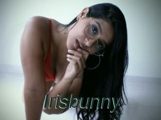 Irisbunny