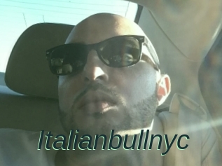 Italianbullnyc