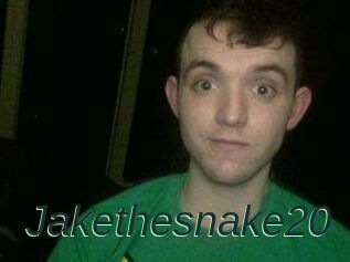 Jakethesnake20