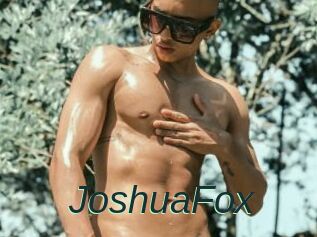 JoshuaFox