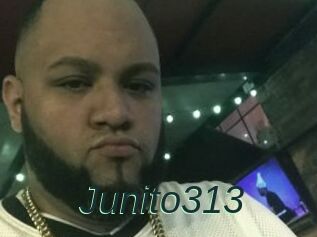 Junito313