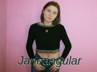 Janeangular