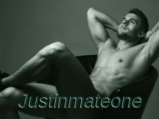 Justinmateone
