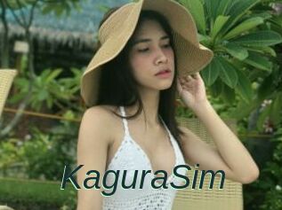 KaguraSim