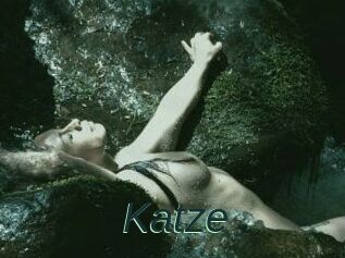 Katze