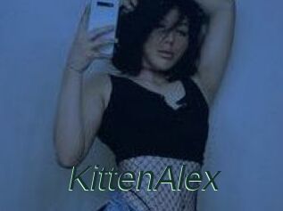 KittenAlex