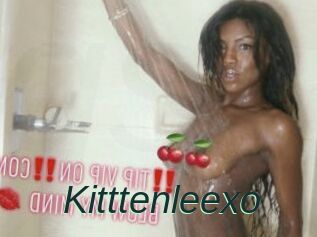 Kitttenleexo