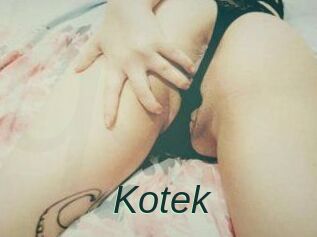 Kotek